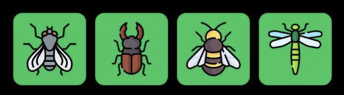 FLIES Daily Combo 7 June 2025